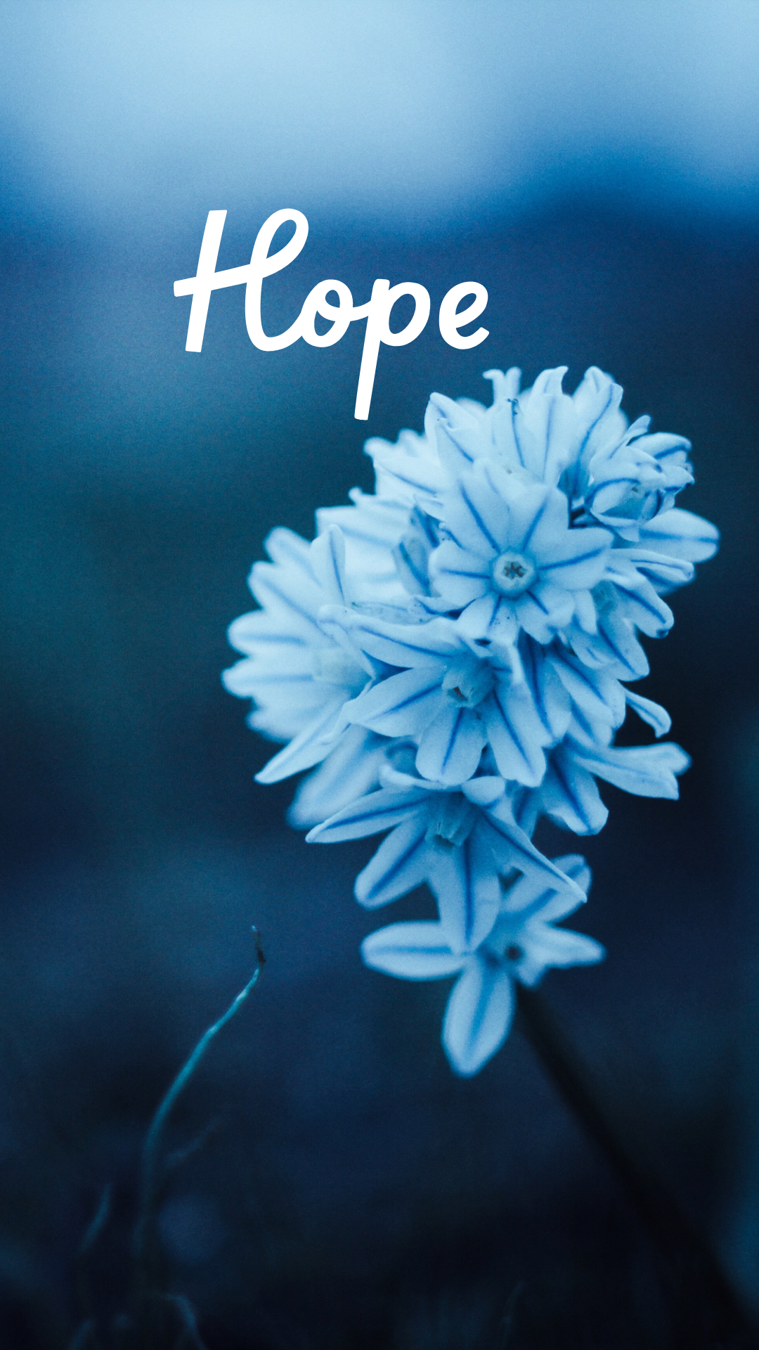 Hope for Life with God