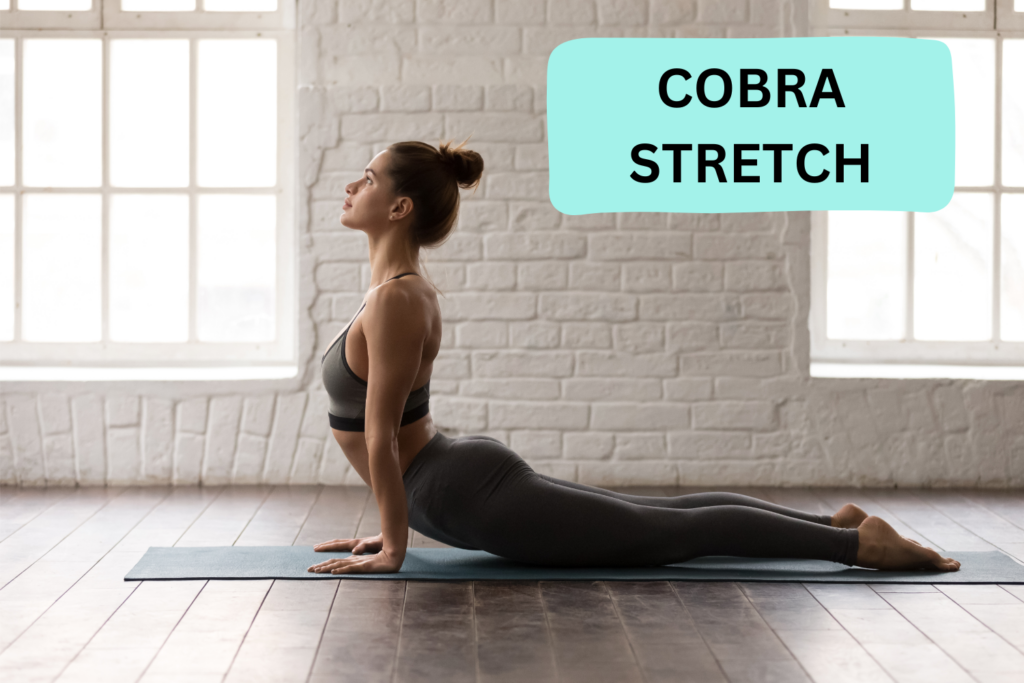 cobra stretch