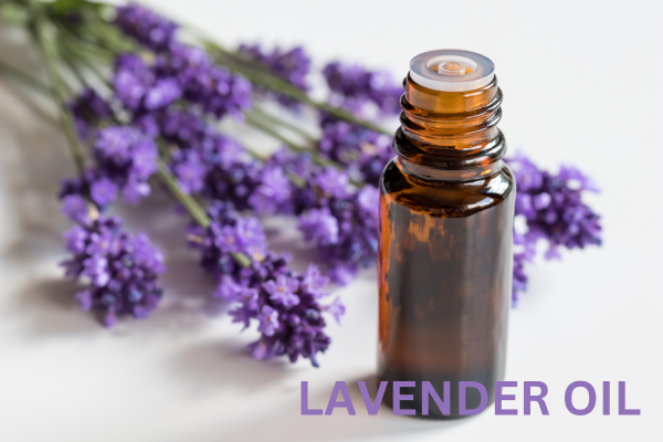 power of lavender essential oil for relaxation