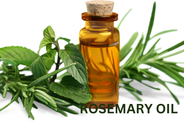 power of rosemary essential oil for scalp health